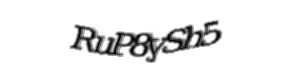 Security check image, please type the characters shown